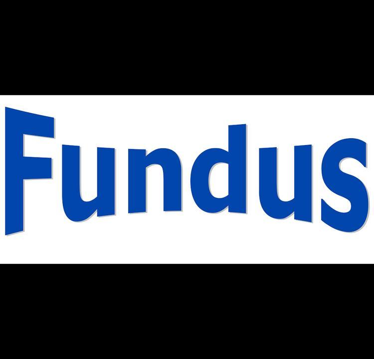 Fundus